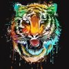 Colorful Tiger Head Paint By Numbers