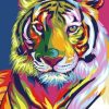 Colorful Tiger Paint by numbers