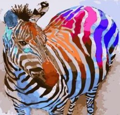 Colorful Zebra Paint By Numbers