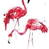 Coloring Flamingo Paint By Numbers