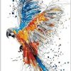 Coloring Parrot Paint By Numbers