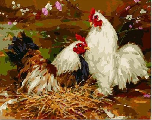 Two Chickens Birds Painting by numbers