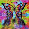 Colors Butterfly Paint By Numbers