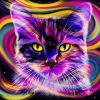 Colors Cat Paint By Numbers