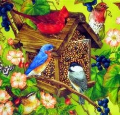 Colourful Birdhouse Paint By Numbers