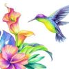 Colourful Hummingbird Paint By Numbers