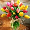Colourful Tulips Paint By Numbers