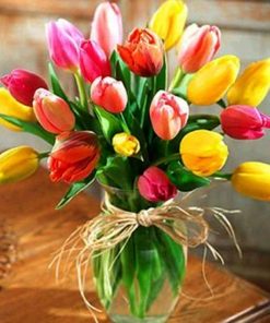 Colourful Tulips Paint By Numbers