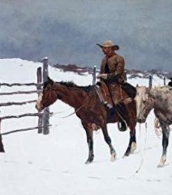 Cowboy in Snow Paint By Numbers