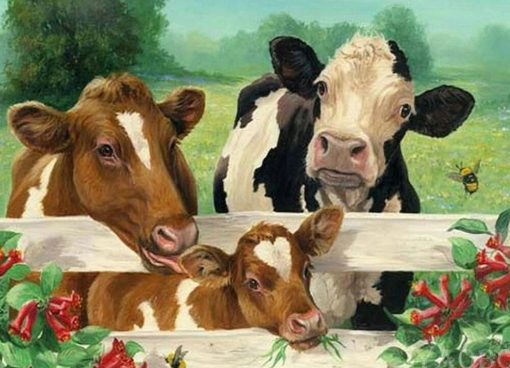 Cows in Cowshed Paint By Numbers