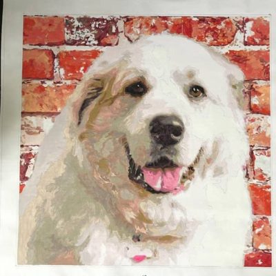Custom dog paint by numbers kit