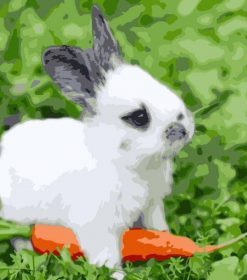 Cute Bunny Paint By Numbers