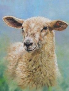 Cute Little Sheep Paint By Numbers