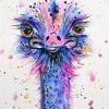 Cute Ostrich Paint By Numbers