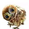 Cute Owl Paint By Numbers