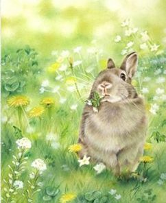 Cute Rabbit In Grass Paint By Numbers