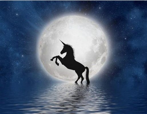 Unicorn Full Moon Animals Painting by numbers