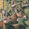 Deers Couple Paint By Numbers