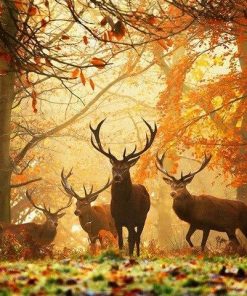 Deers in Autumn Paint By Numbers