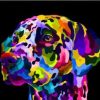 Dog On Pop Art Paint By Numbers