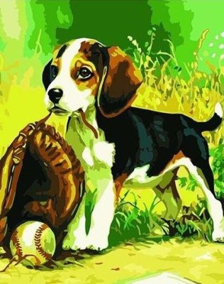 Dog Playing Baseball Paint By Numbers