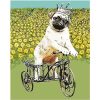 Dog Riding a Tricycle Paint By Numbers