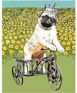 Dog Riding a Tricycle Paint By Numbers