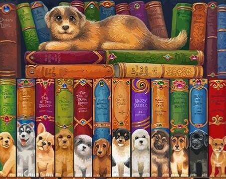 Dog on Bookshelves Paint By Numbers