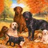 Dogs Family Paint By Numbers