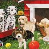Dogs In Backyard Paint By Numbers