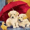 Dogs Red Umbrella Paint By Numbers