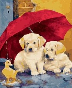 Dogs Red Umbrella Paint By Numbers