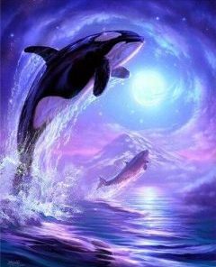 Dolphin At Night Paint By Numbers