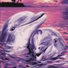 Dolphin Lovers Paint By Numbers
