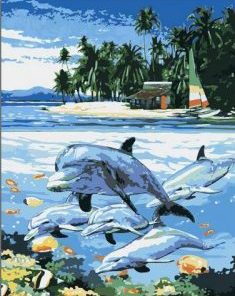 Dolphin Near the Beach Paint By Numbers