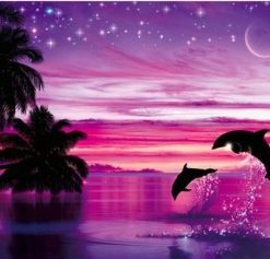 Dolphin Purple Night Paint By Numbers
