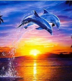 Dolphin Sunset Leap Paint By Numbers