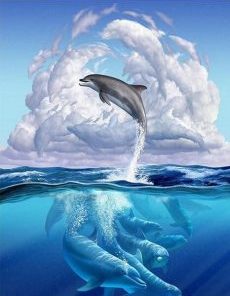 Dolphin Symphony Paint By Numbers