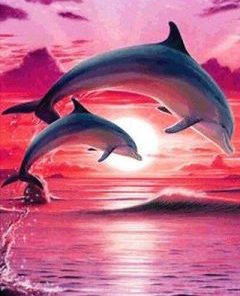 Dolphins in Pink Sky Paint By Numbers