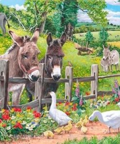 Donkey Goose Farm Paint By Numbers