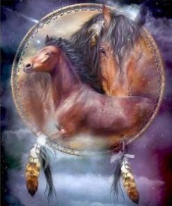 Dream Catcher Horses Paint By Numbers