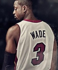 Dwyane Wade Paint By Numbers