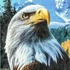 Eagle Looks Up Paint By Numbers