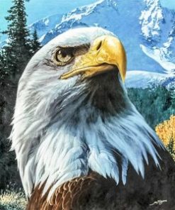 Eagle Looks Up Paint By Numbers