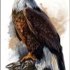 Eagle on Tree Painting By Numbers