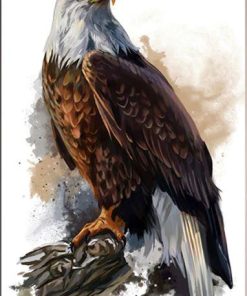 Eagle on Tree Painting By Numbers