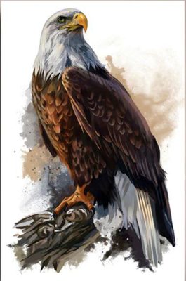 Eagle on Tree Painting By Numbers