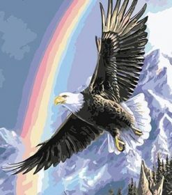 Eagle under Rainbow Paint By Numbers