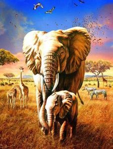Elephant And Calf Paint By Numbers