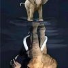 Elephant Reflection Paint By Numbers